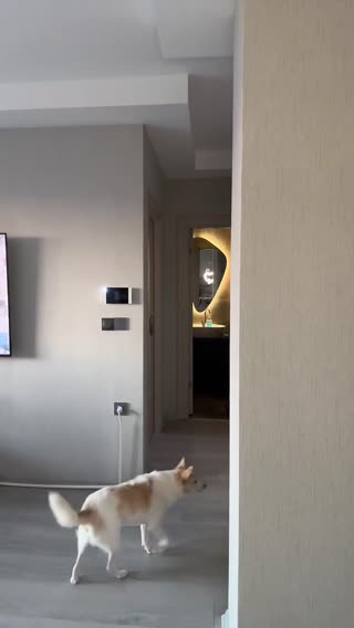 Watch Sɪʙᴇʟʟᴇ — Live Stream from 04.08.2026 16:43
