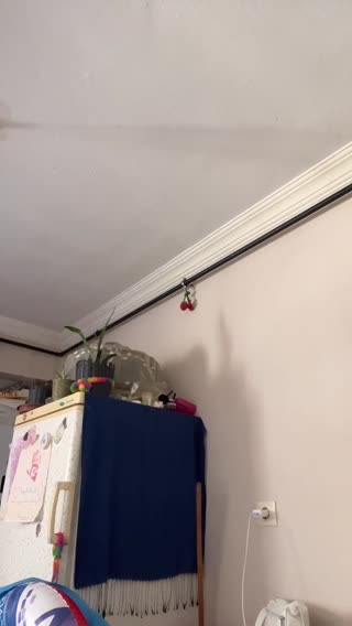 Ver a ŞANS MELEĞİM😇🫠 — transmisión en vivo del 08.08.2026 09:51