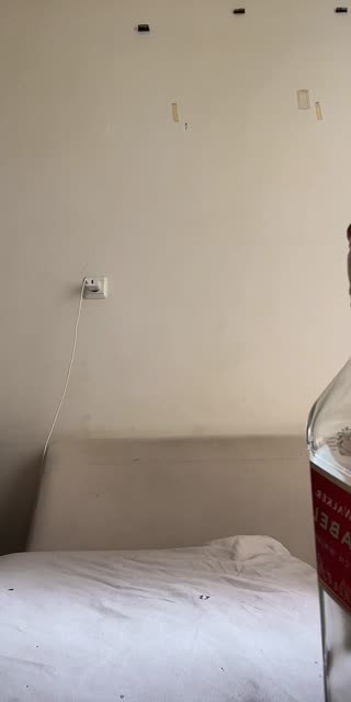 Gamze şimal , (sanatçı klip ) ansehen – Livestream vom 08.08.2026 13:54