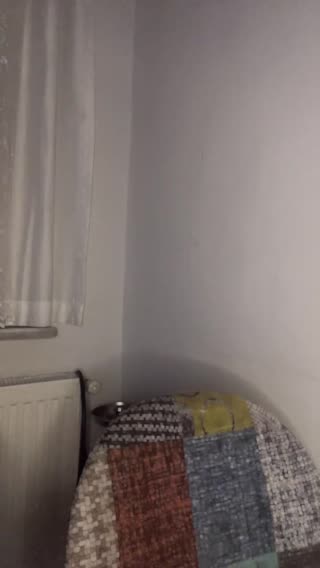 .~Rain~. ansehen – Livestream vom 09.08.2026 01:09