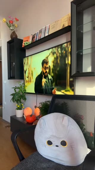 ZARA is coming 🧡 — 11.08.2026 15:15 canlı yayın kaydı